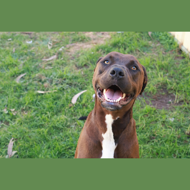 Photo of Charley