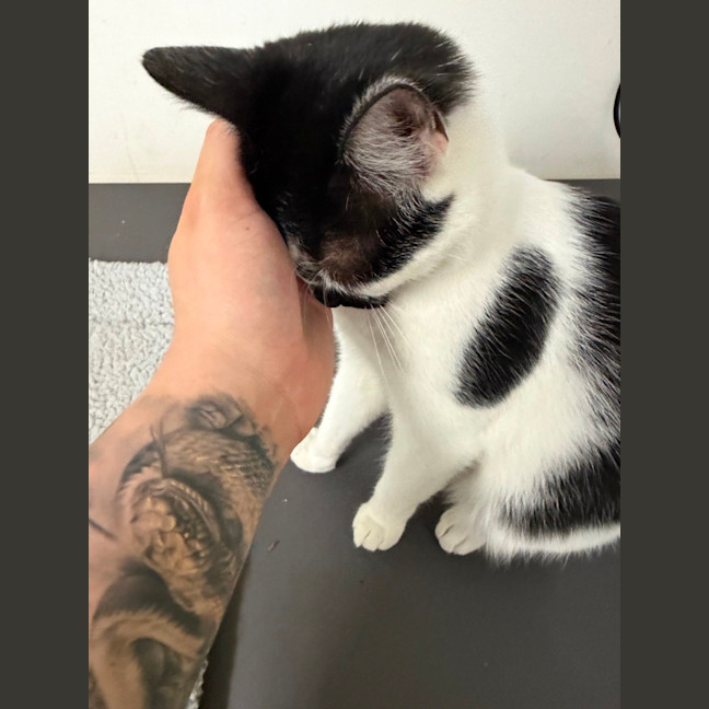 Photo of Hamish