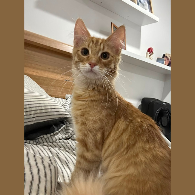 Photo of Alvin