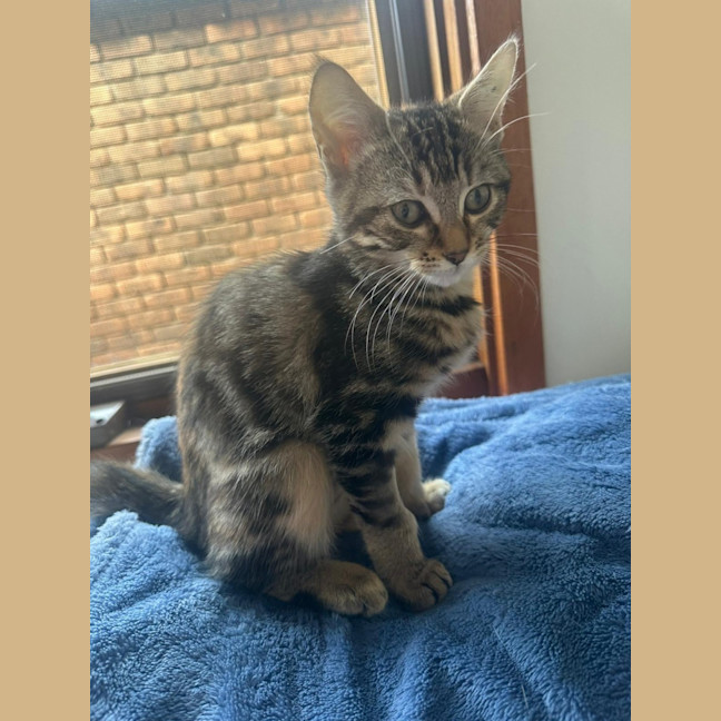 Photo of Delilah
