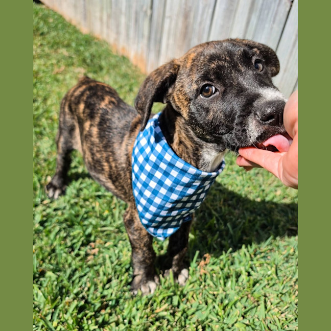 Photo of Churro