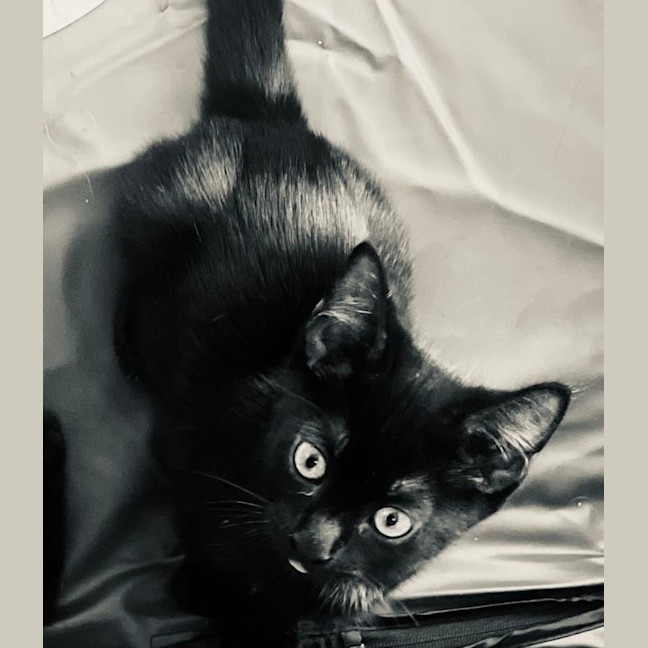 Photo of 🥰 Davis 🥰