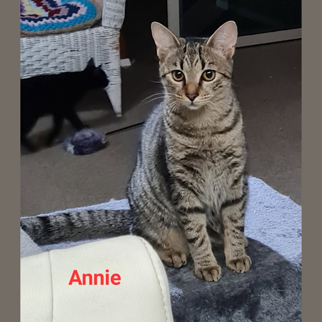 Photo of Annie