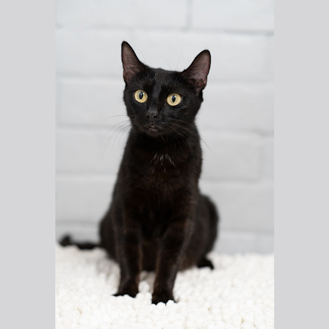 Photo of Ash