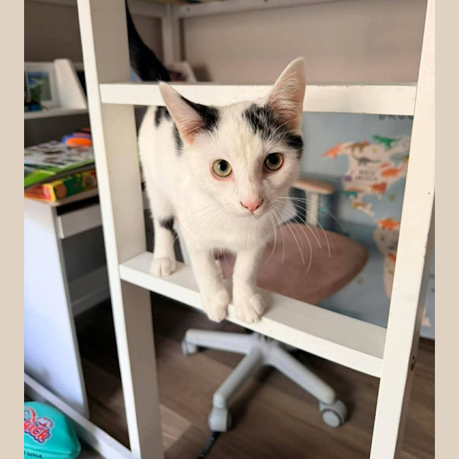 Photo of Sunny 