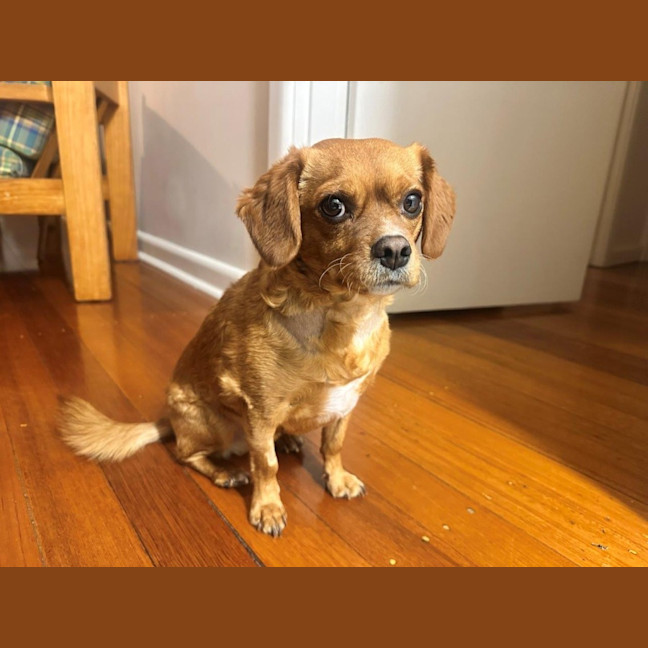 Photo of Toby Quinnell