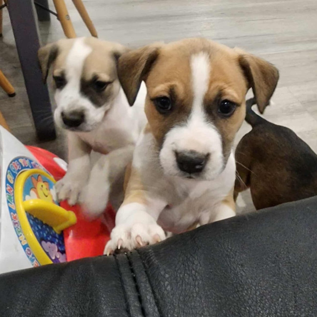 Photo of Lady Rainicorn