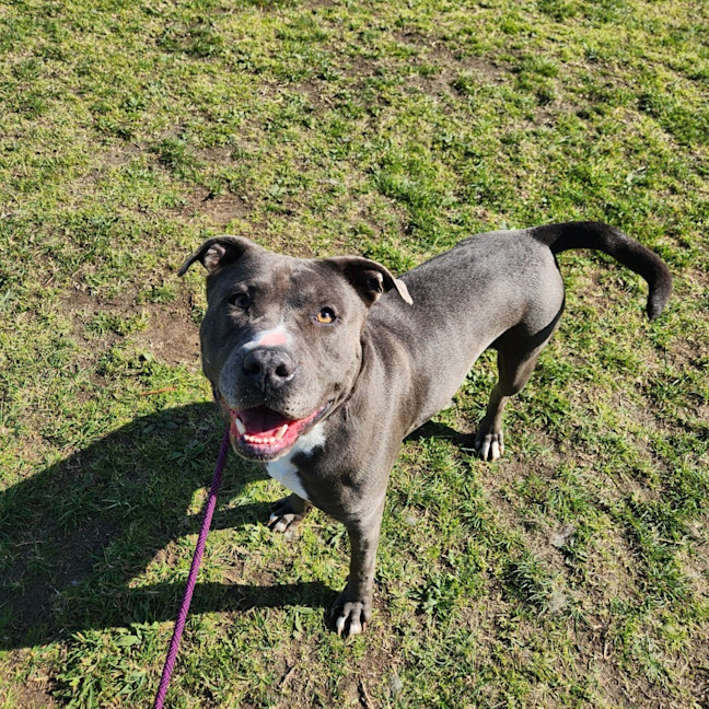 Photo of Bear (66738)