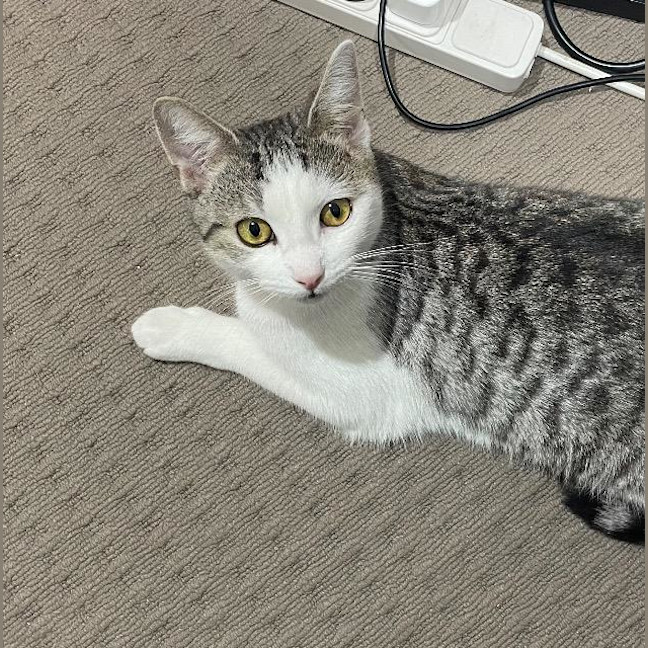 Photo of Keeva