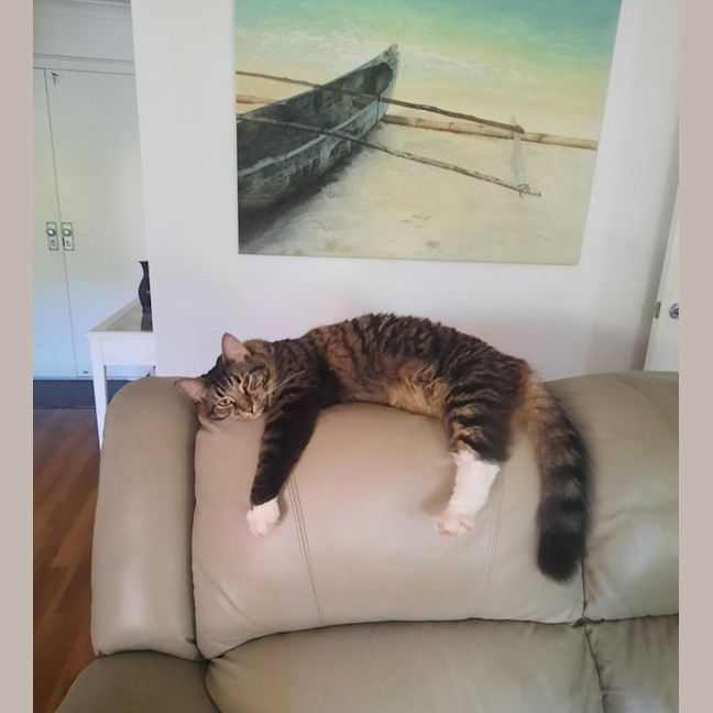 Photo of Tommy