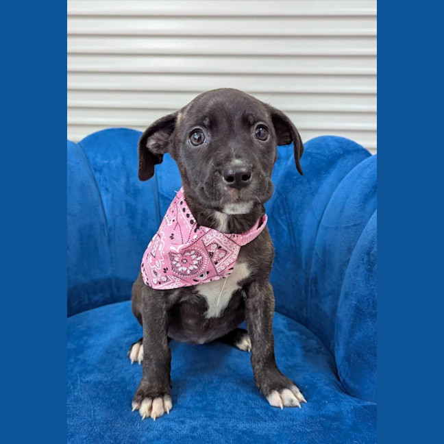 Photo of Pat Me Amidala