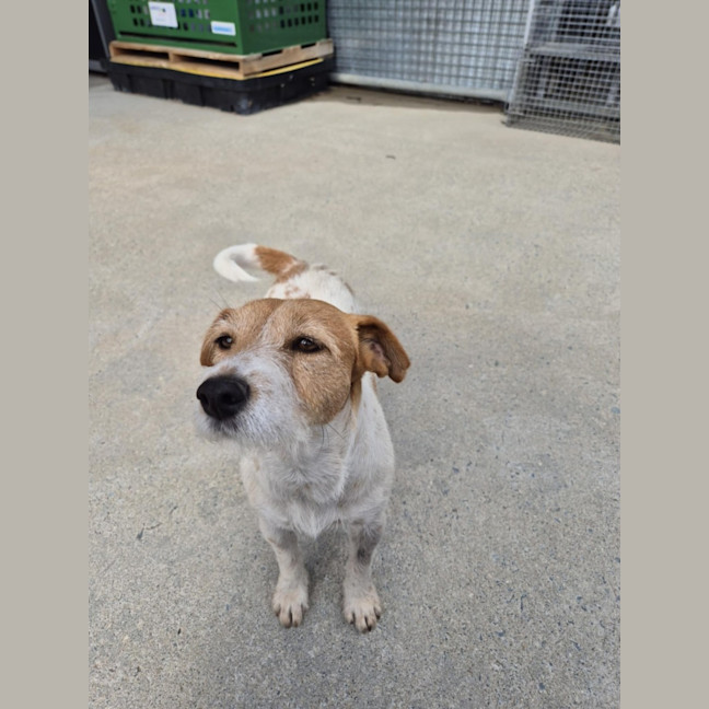 Photo of Aggie! 🌻