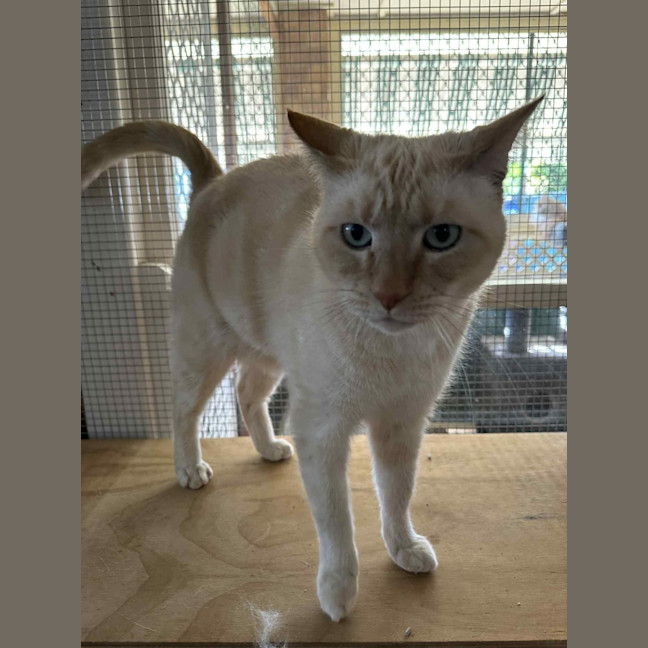 Photo of Jessie James