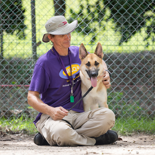 Photo of Lupa (Previously Kailani)