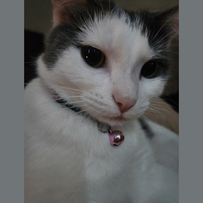 Photo of Lexie