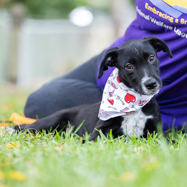 Photo of Captain Isaac Higgintoot