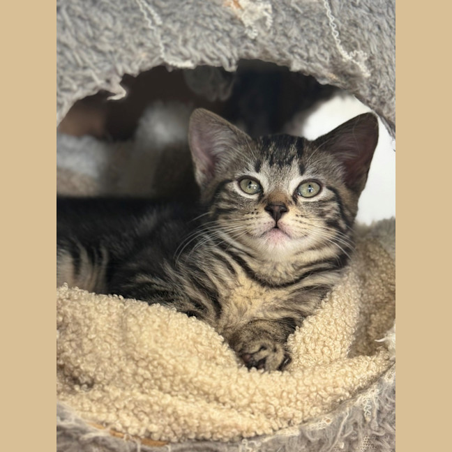 Photo of Huck