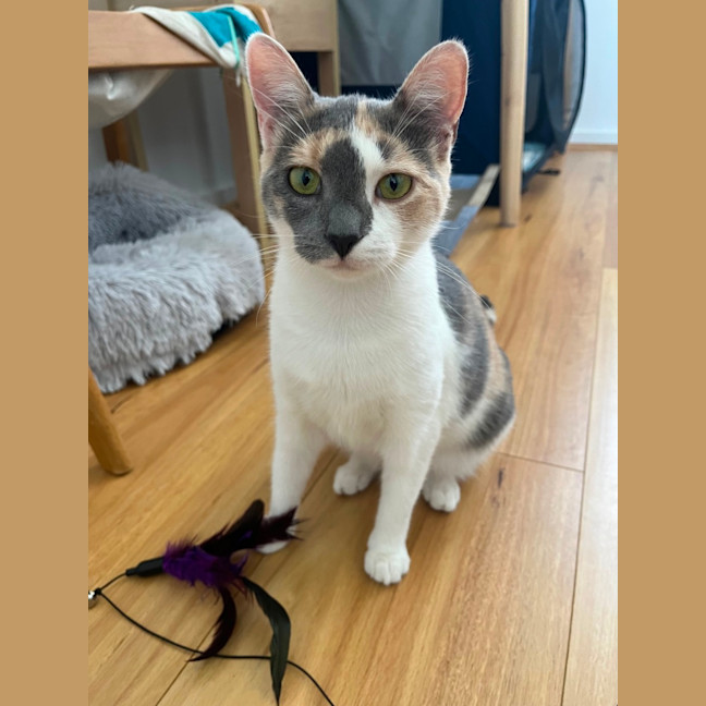 Photo of Elise