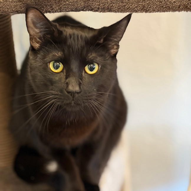 Photo of Lord Luna