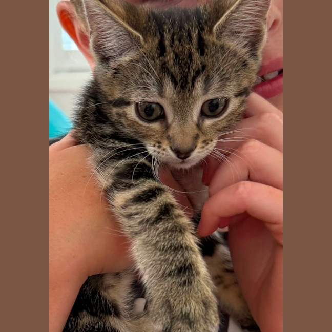 Photo of Asha & Kiki