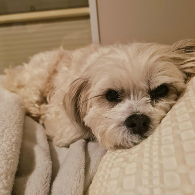 Photo of Molly Quinnell