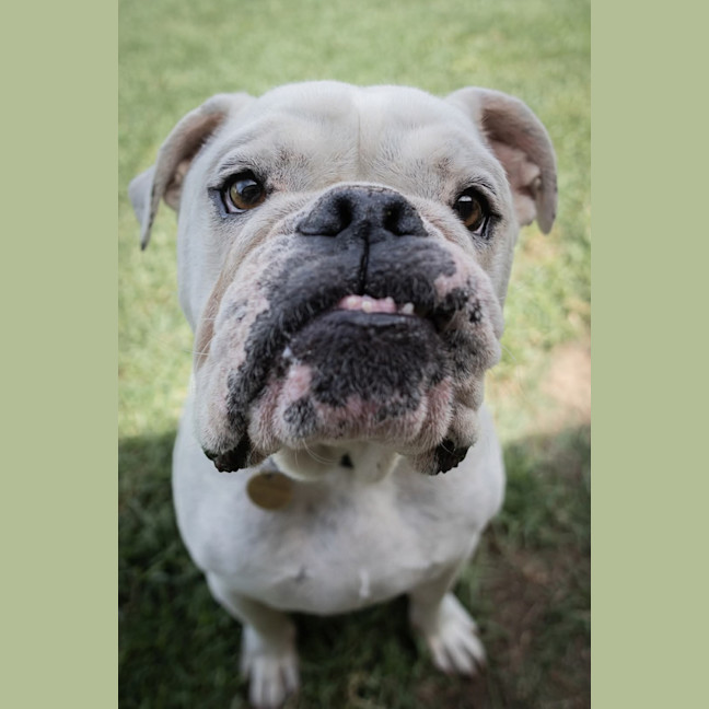 Photo of Stormin Normin