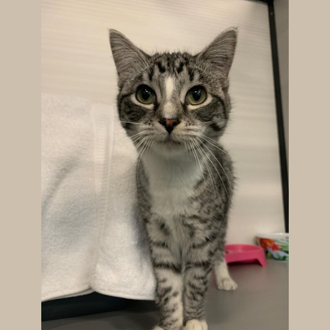 Photo of Annabelle