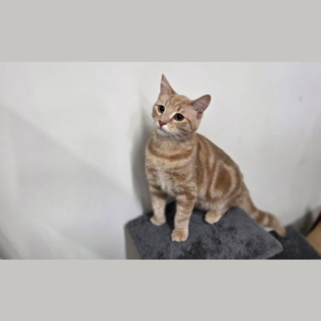 Photo of Percy