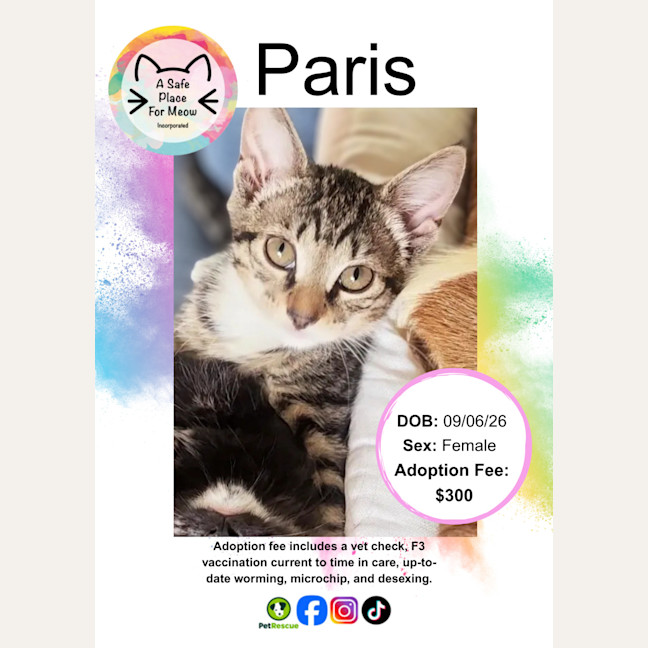 Photo of Paris
