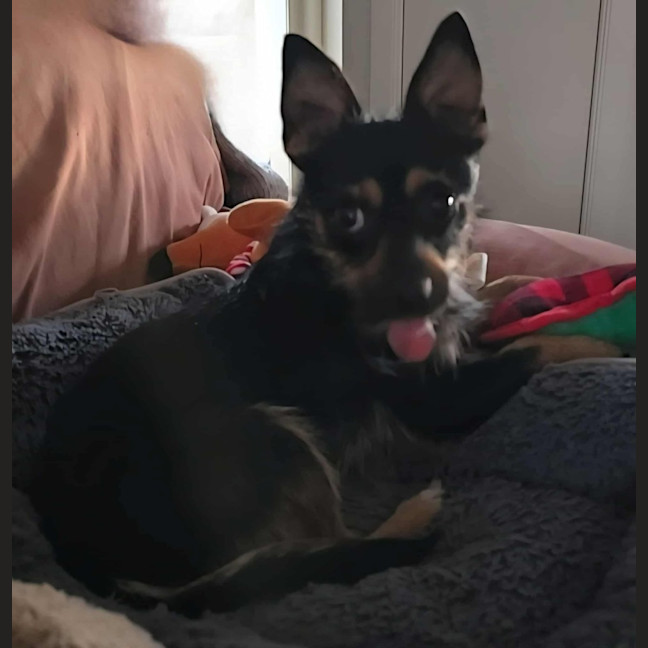 Photo of Ernie (8988)