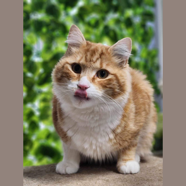 Photo of 🐠 Nemo 5314 🐠