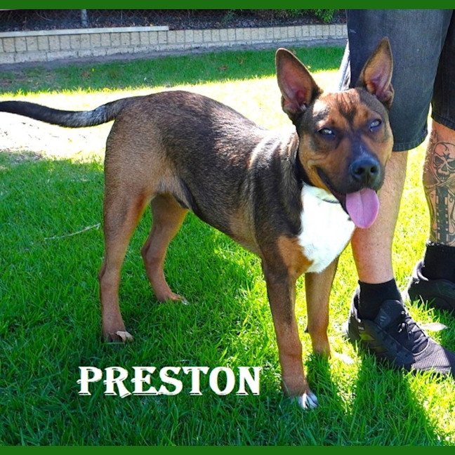 Photo of Preston