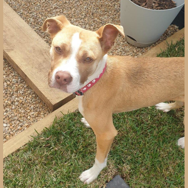 Photo of Ellie Valenti