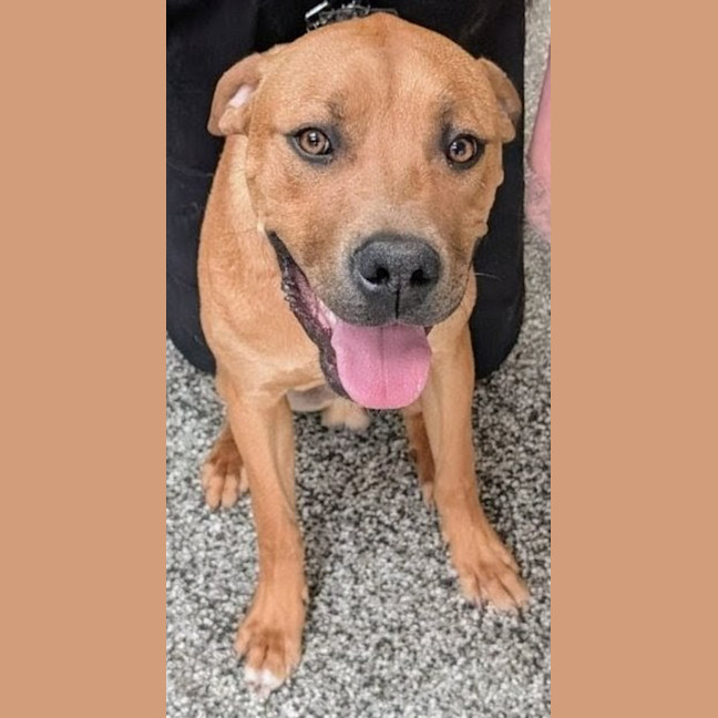 Photo of Dex