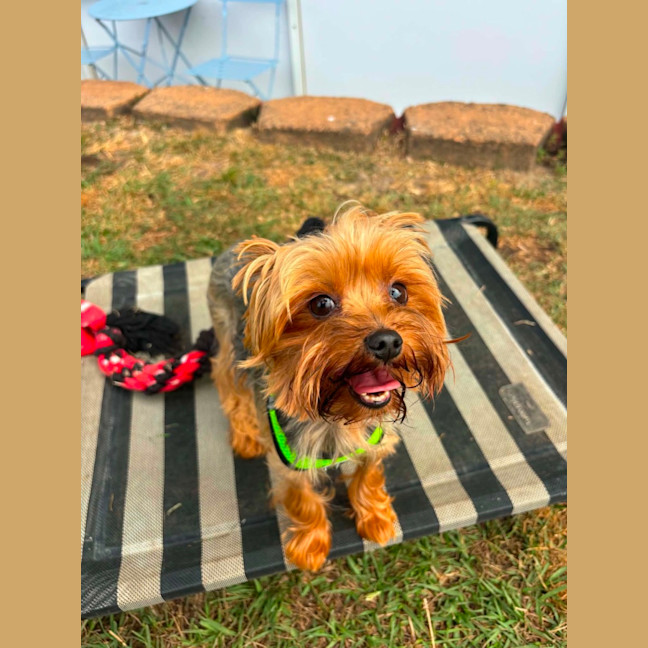 Photo of Sammy