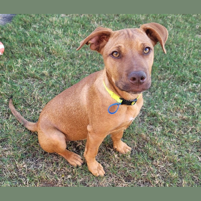Photo of Salsa