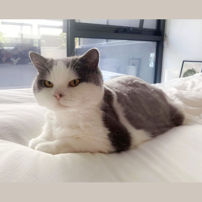 Photo of 🍑Jorgi🍑