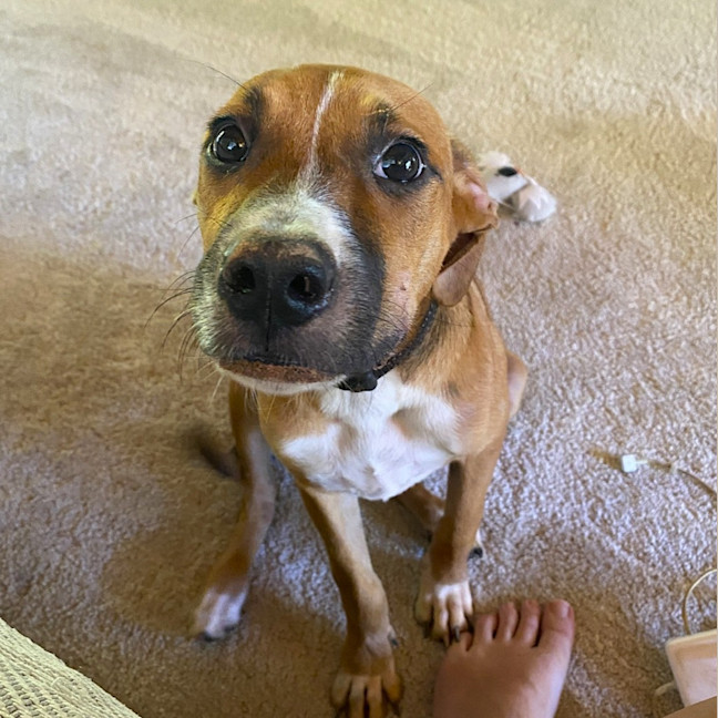Photo of Chloe