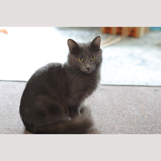 Photo of Storm