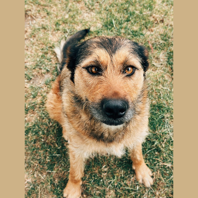 Photo of Nelly