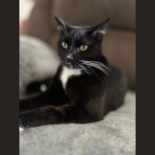 Photo of Wayne