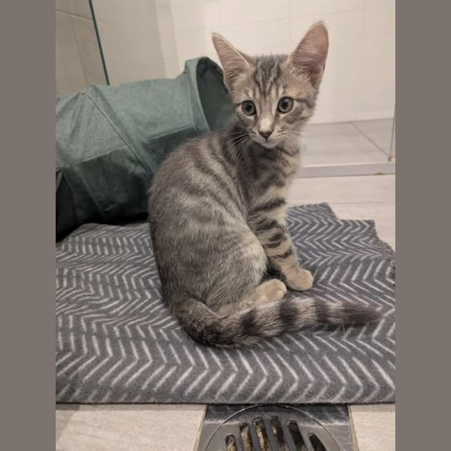 Photo of Meridith Grey