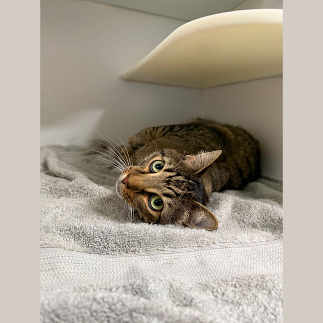 Photo of 🏵️ Fred 7627 🏵️