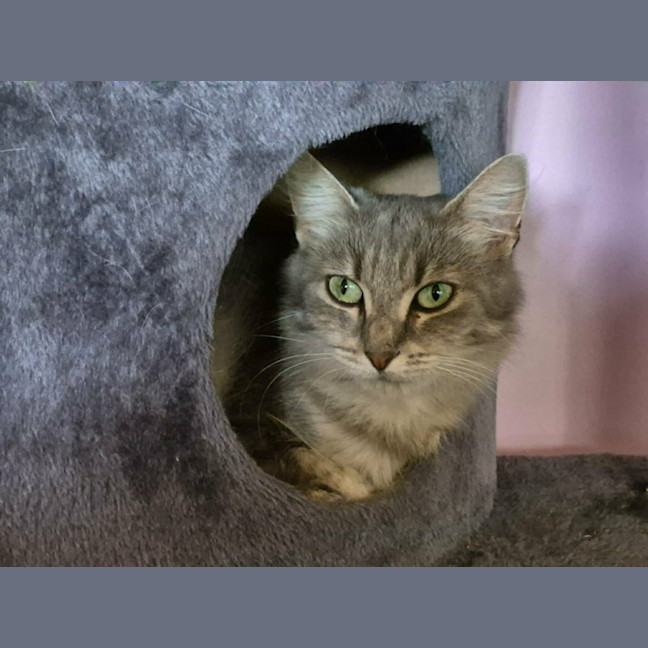 Photo of Emma