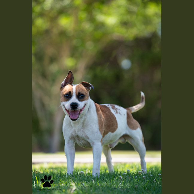 Photo of Monty