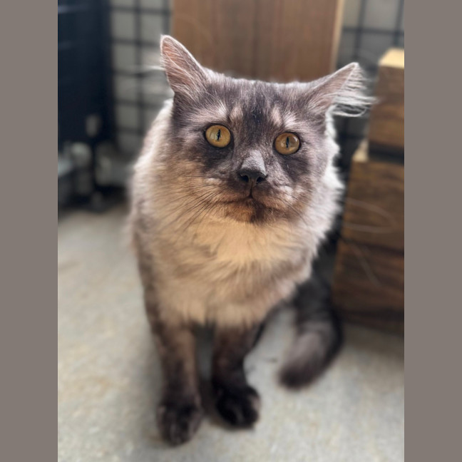 Photo of Ghost 