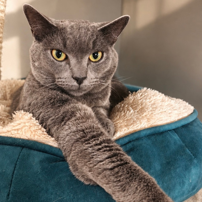Photo of Stormy