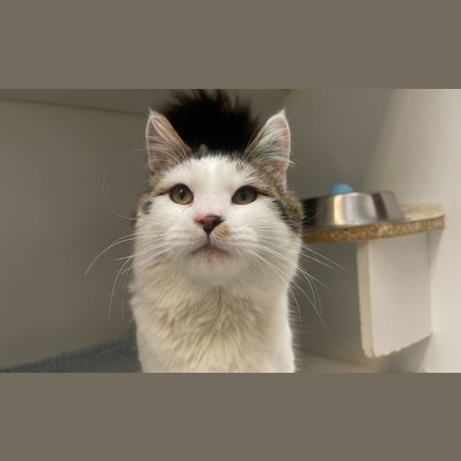 Photo of Pete