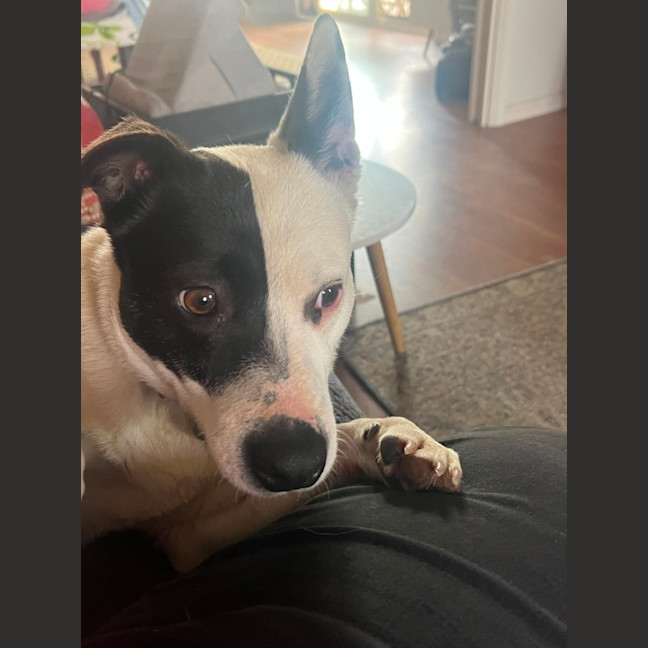 Photo of Heidi