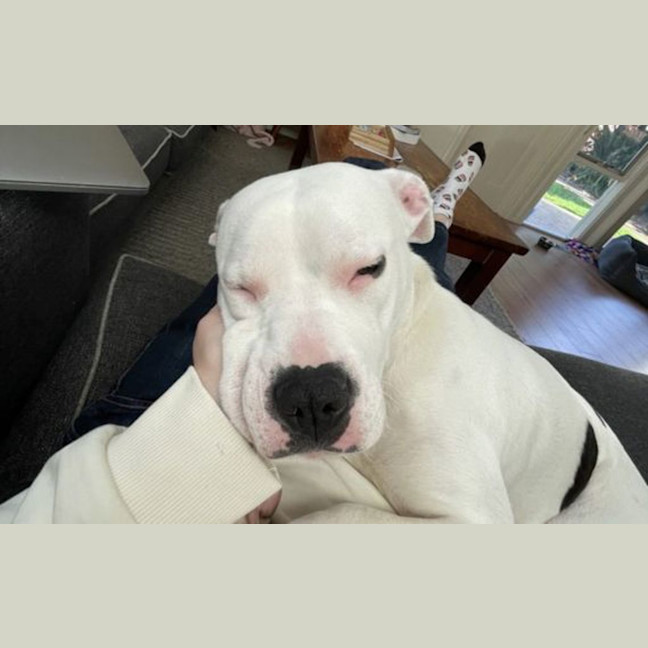 Photo of Sheila